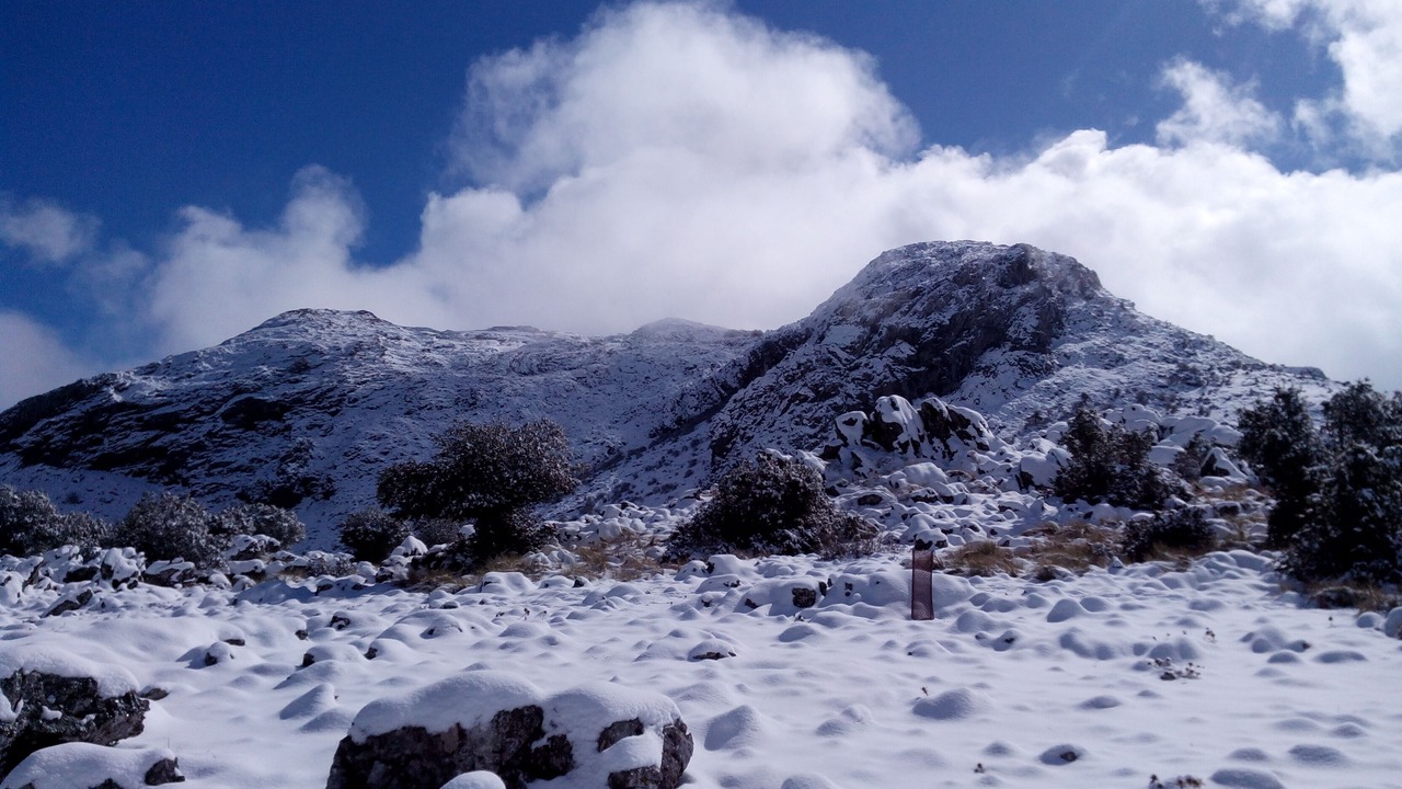 Photo of Others in Benaocaz