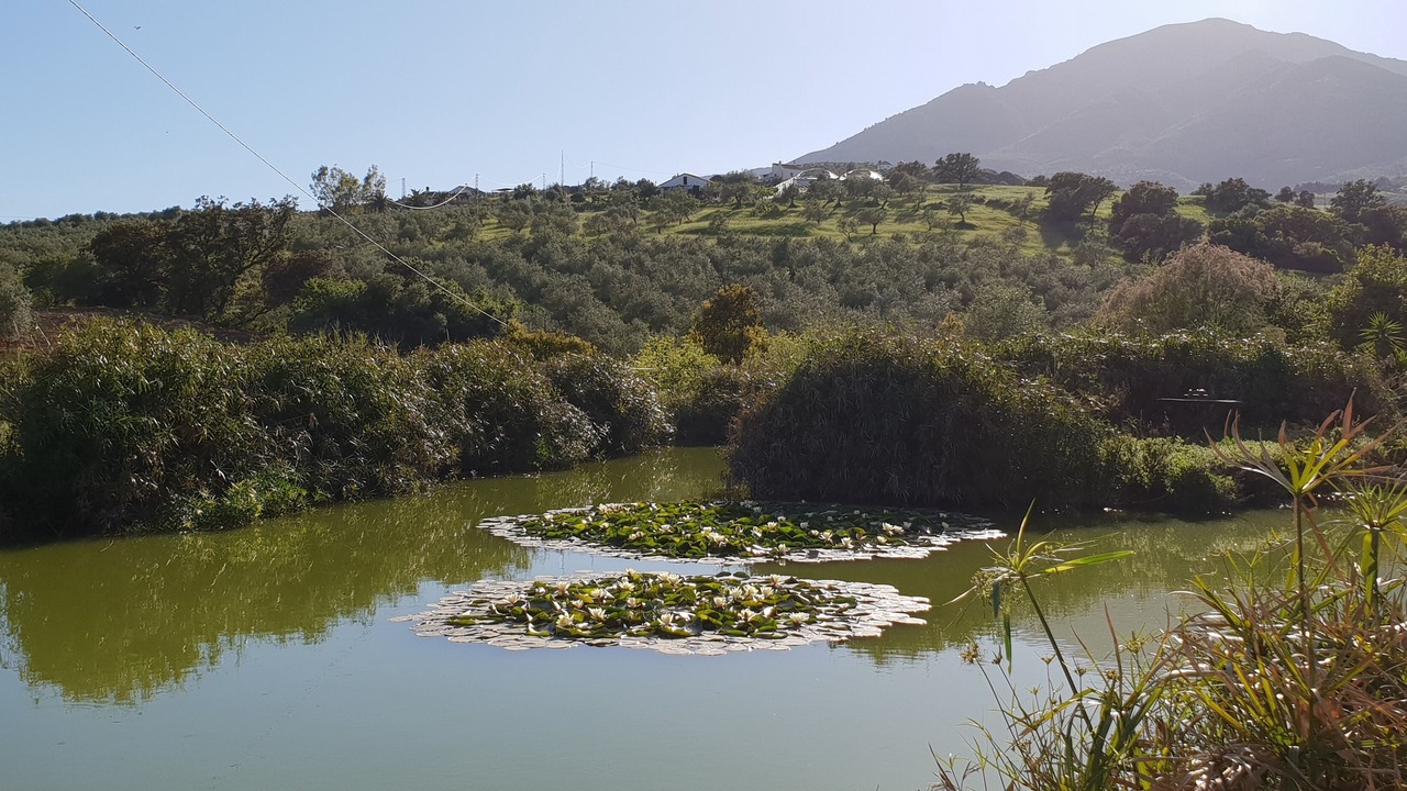 Photo of Outdoor in Casarabonela