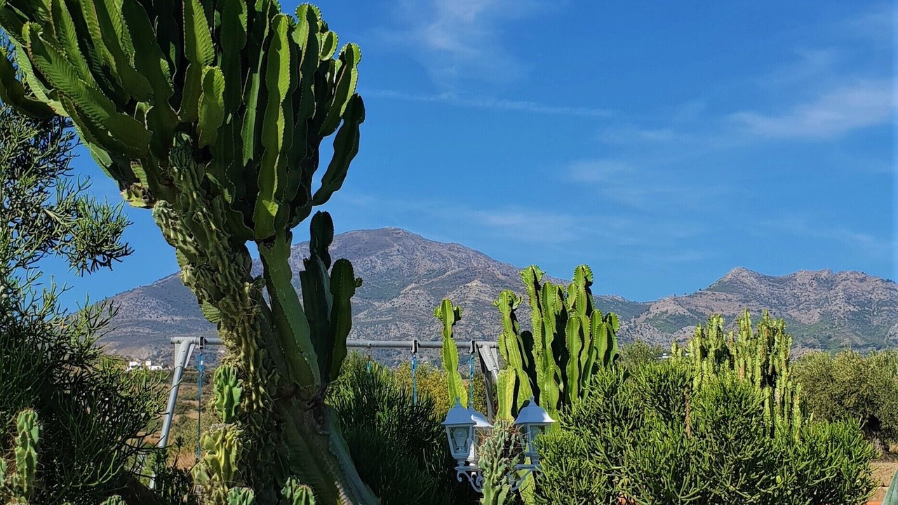 Photo of Outdoor in Casarabonela