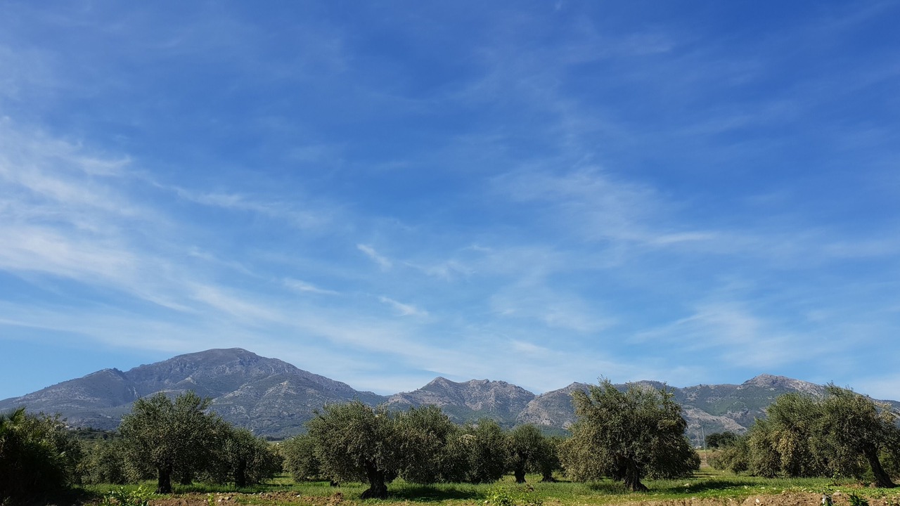 Photo of Outdoor in Casarabonela