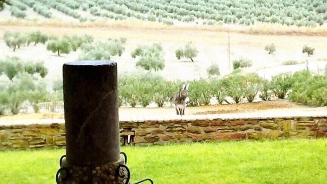 Photo of Outdoor in Arjona