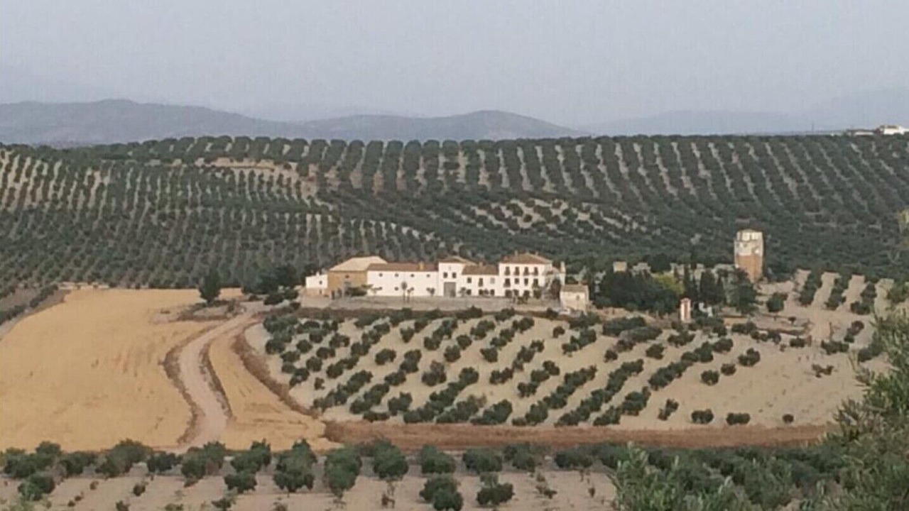 Photo of Outdoor in Arjona