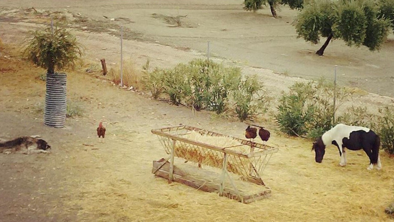 Photo of Others in Arjona