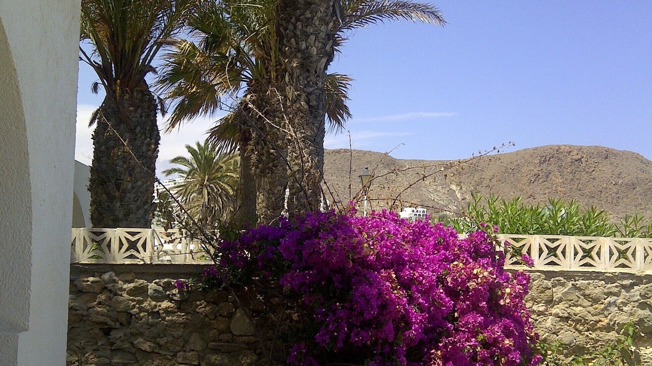 Photo of Outdoor in Carboneras