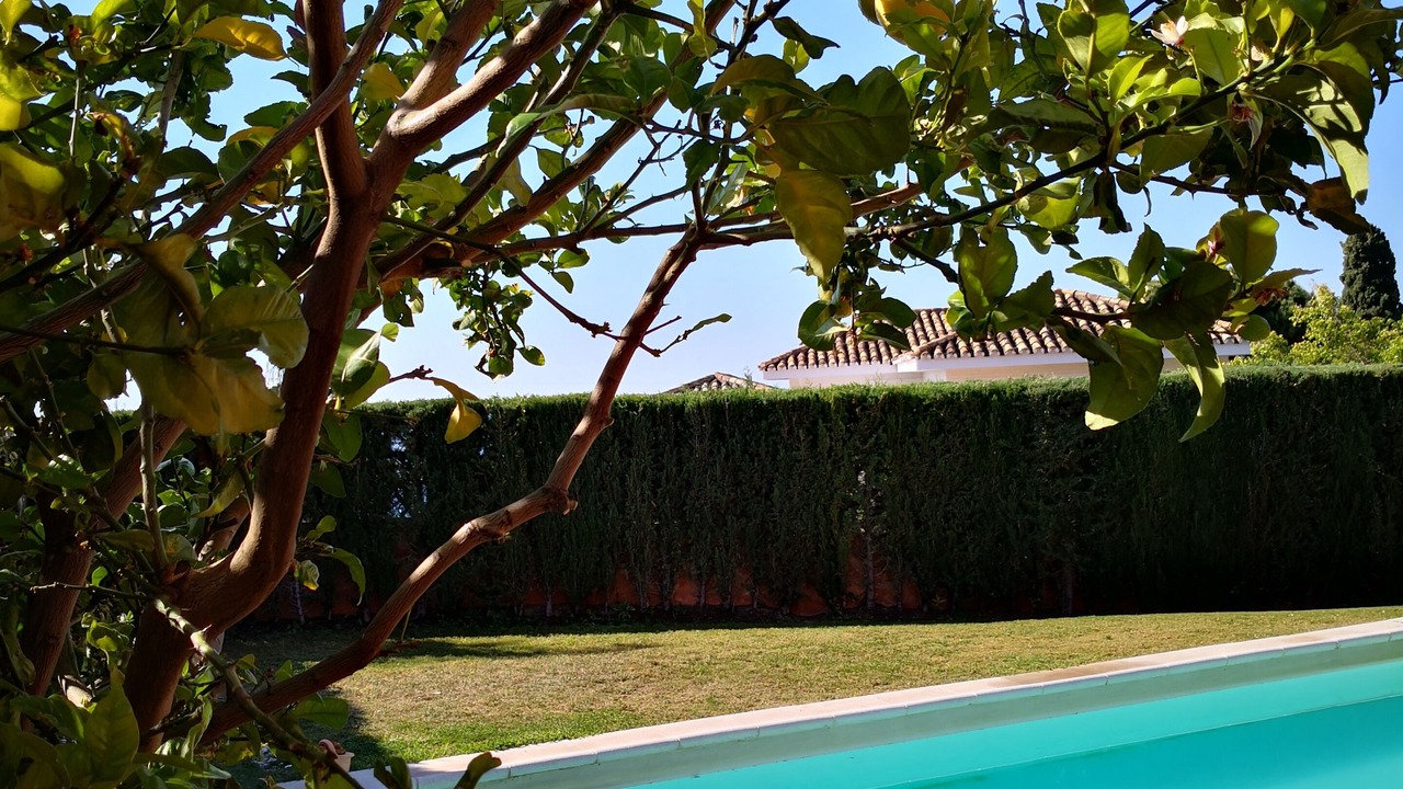 Photo of Outdoor in La Capellania