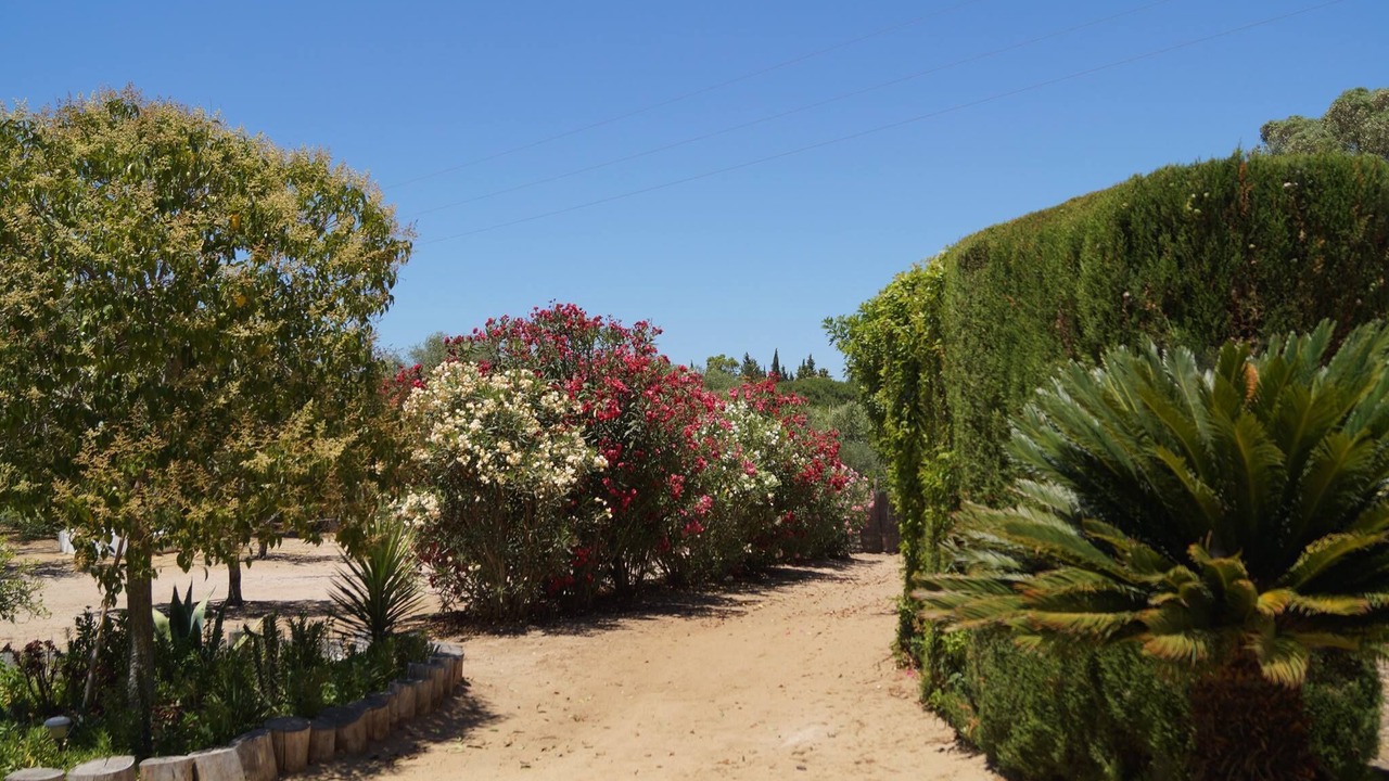 Photo of Outdoor in Vejer de la Frontera