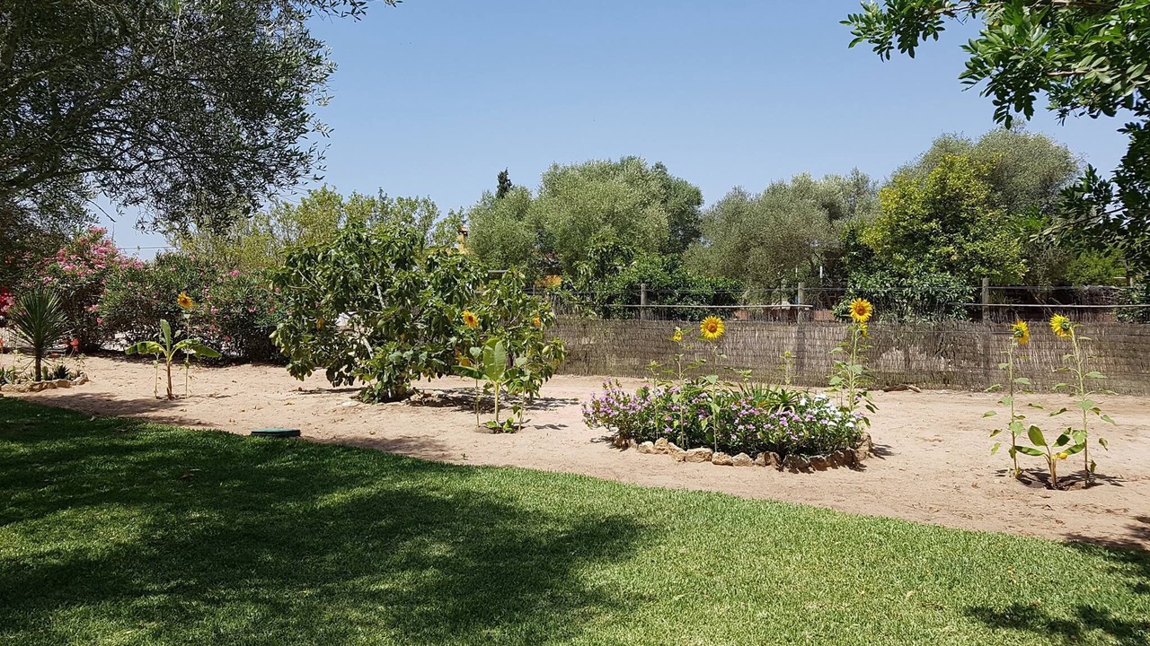 Photo of Outdoor in Vejer de la Frontera