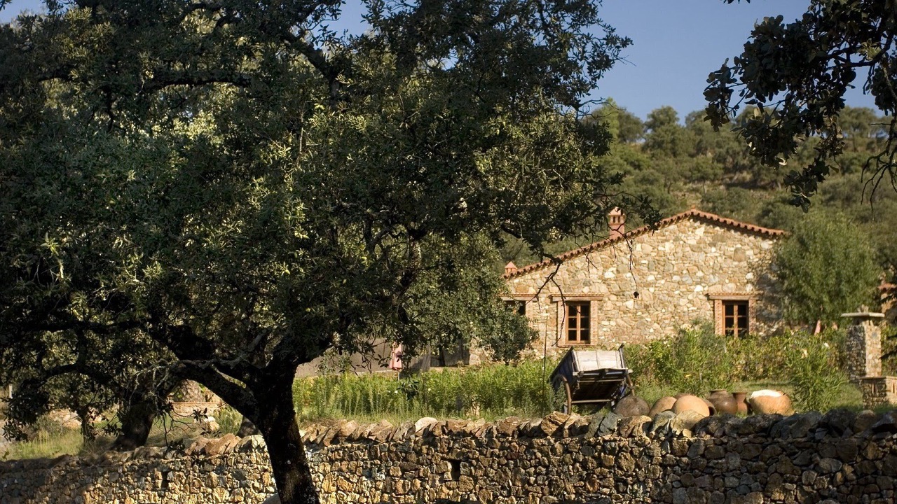 Photo of Outdoor in Alajar