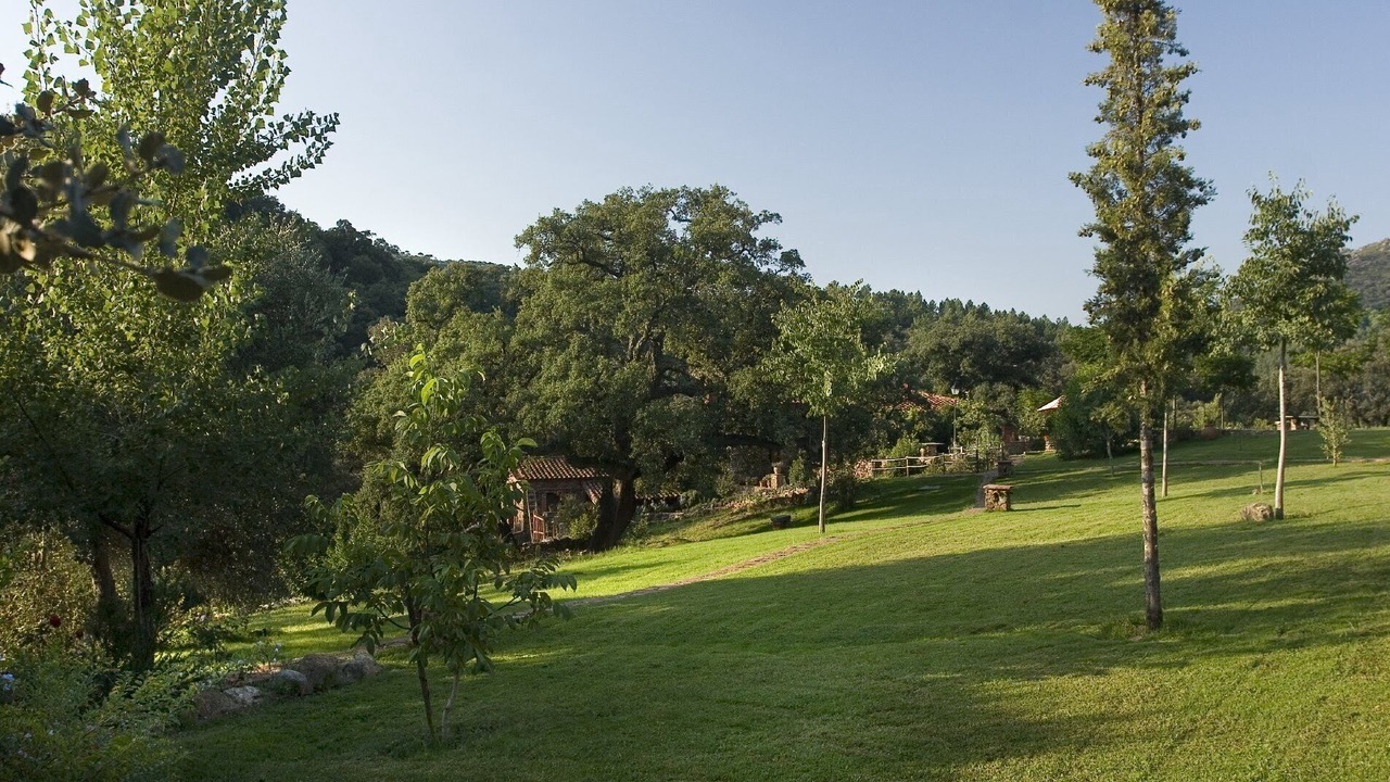 Photo of Outdoor in Alajar
