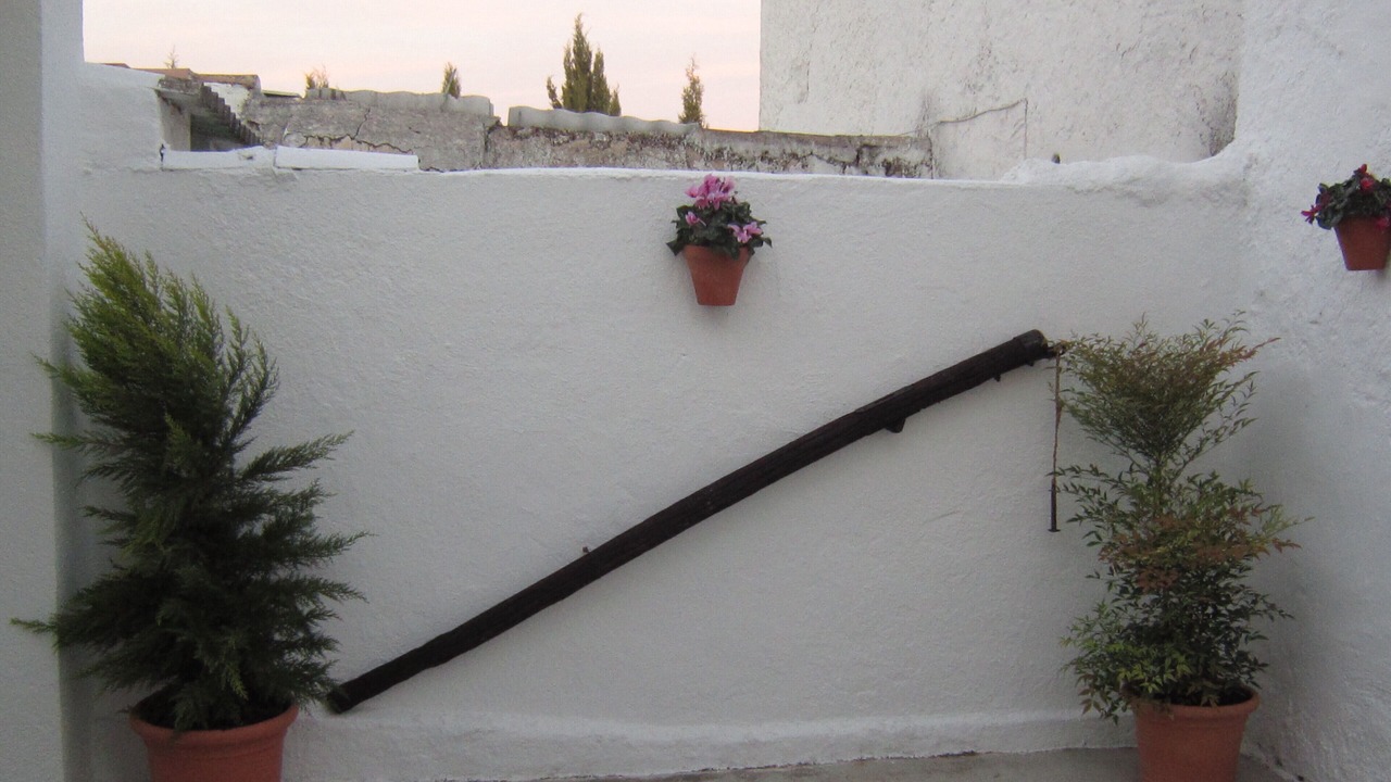 Photo of Outdoor in Torre del Campo