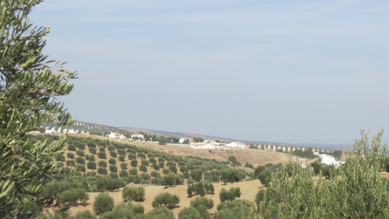 Photo of Others in Torre del Campo