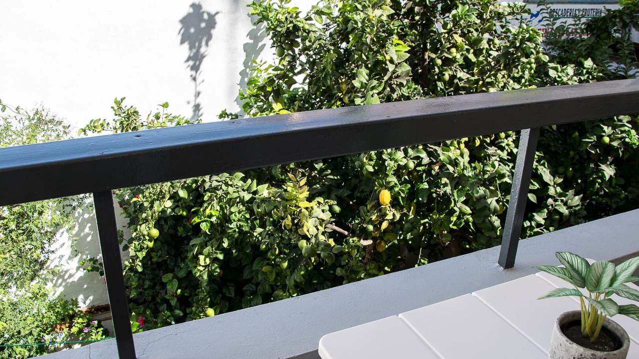 Photo of Outdoor in Sector A - Anade Real