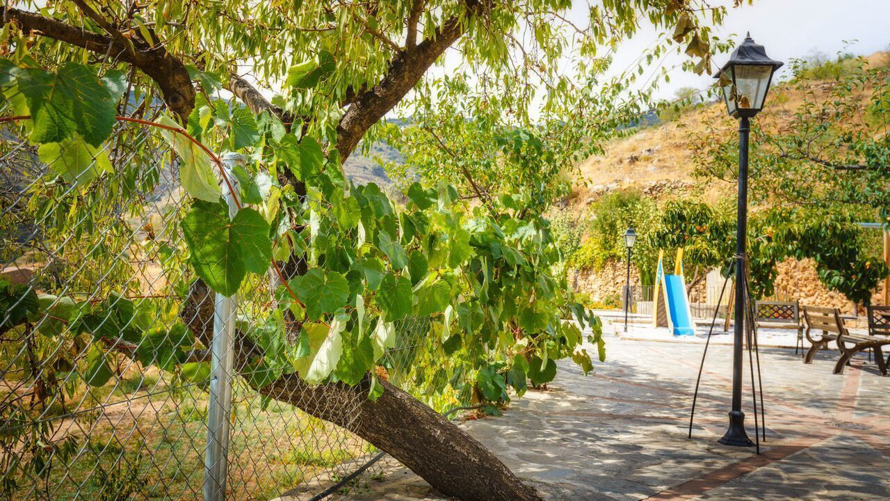 Photo of Outdoor in Laroya