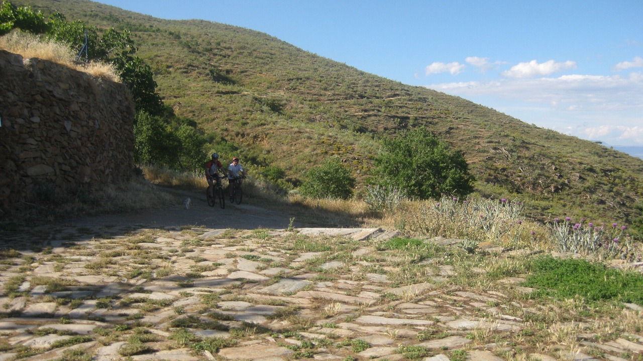 Photo of Outdoor in Laroya