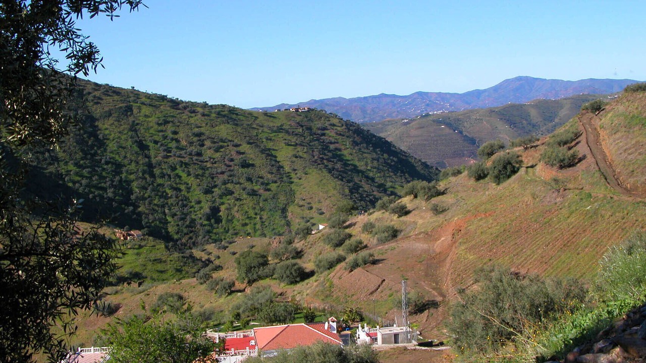 Photo of Others in Canillas de Aceituno