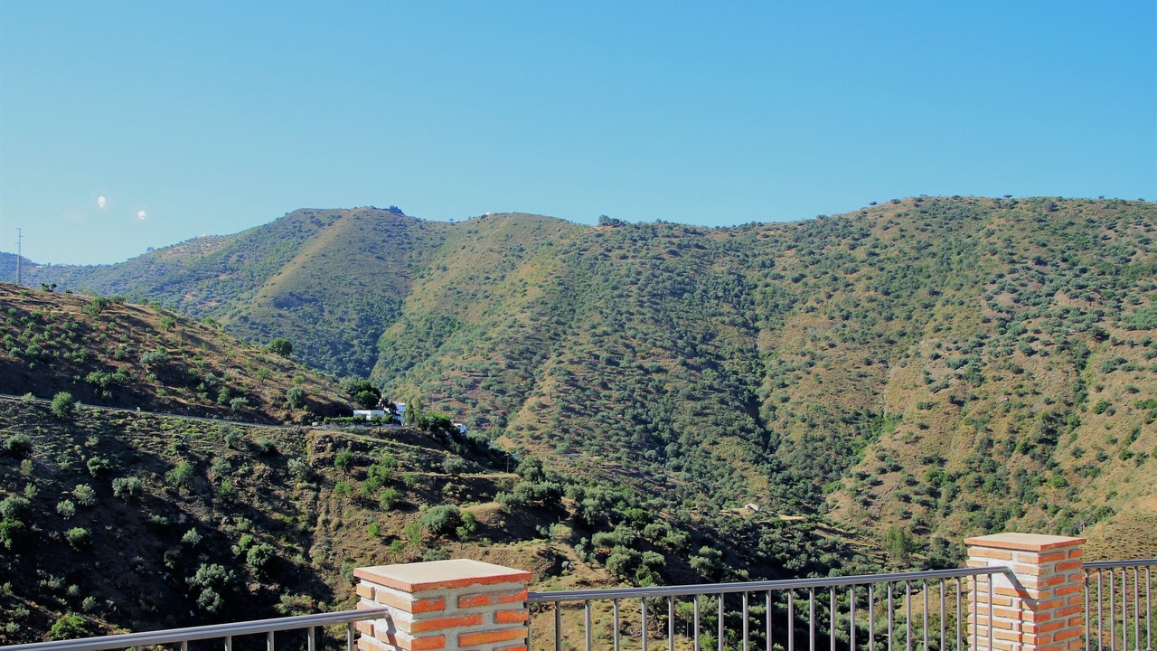Photo of Others in Canillas de Aceituno