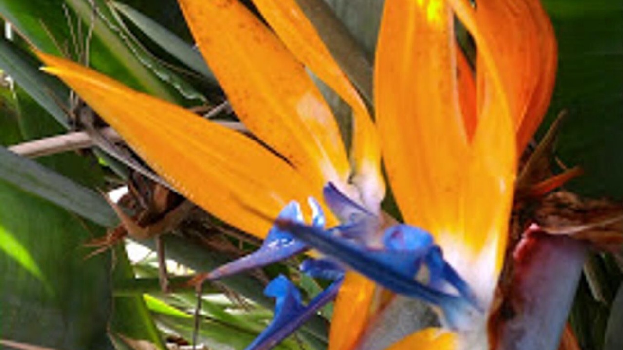 Photo of Outdoor in Canillas de Aceituno