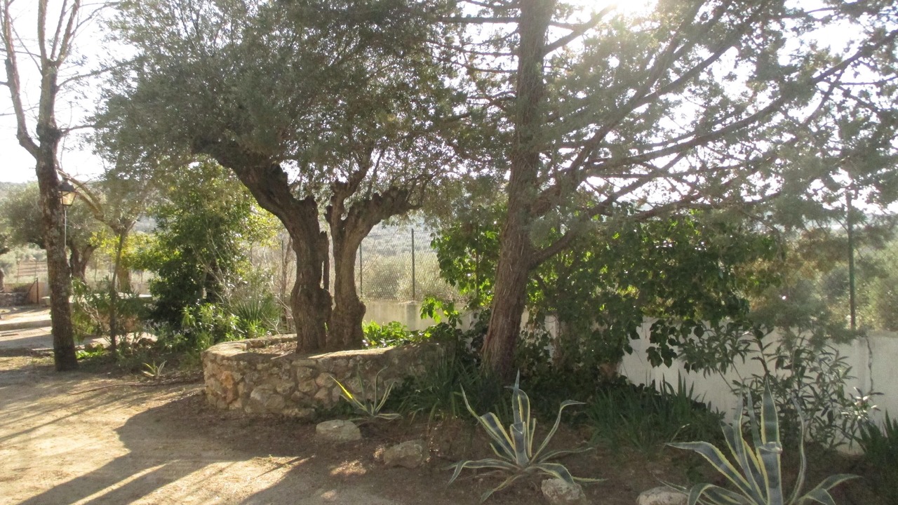 Photo of Outdoor in Chinchon