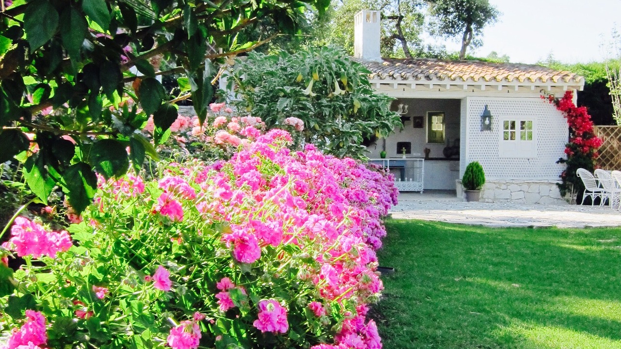 Photo of Outdoor in Algeciras