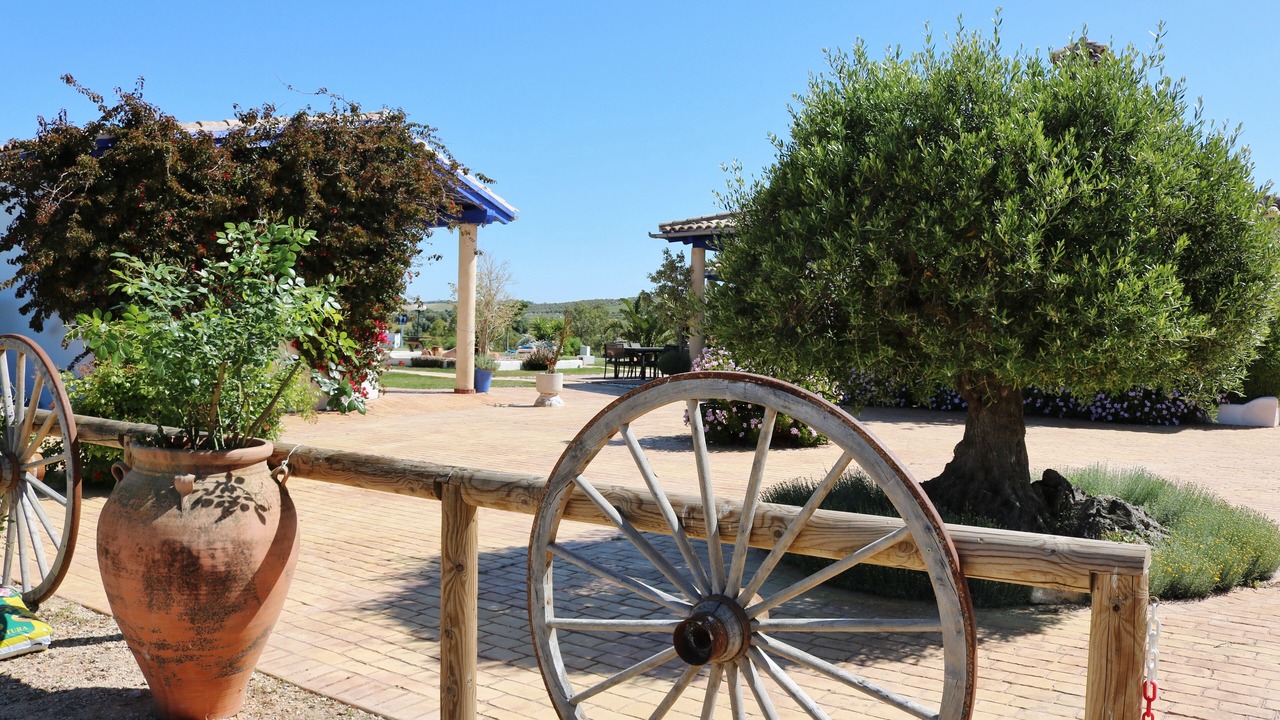 Photo of Outdoor in Arcos de la Frontera
