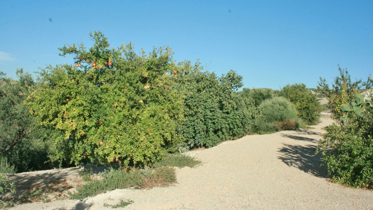 Photo of Outdoor in Arcos de la Frontera