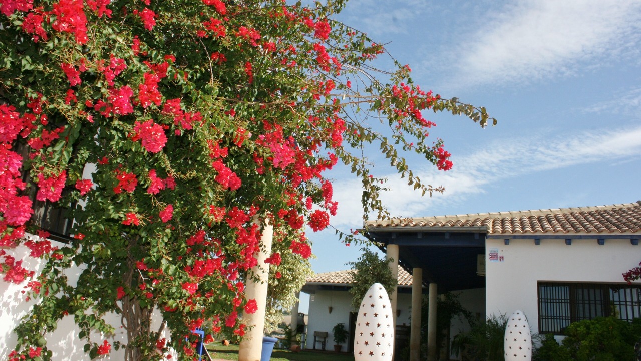 Photo of Outdoor in Arcos de la Frontera