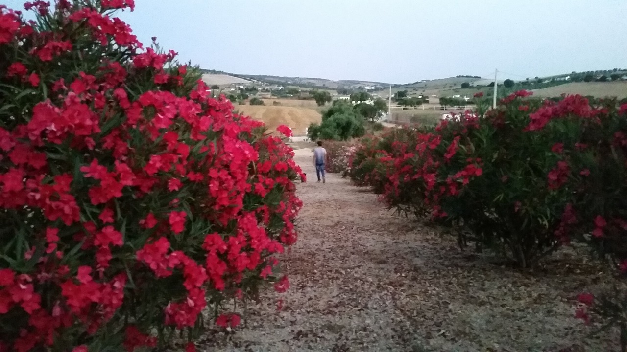 Photo of Outdoor in Arcos de la Frontera