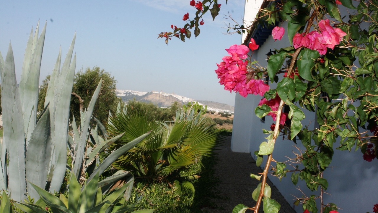 Photo of Outdoor in Arcos de la Frontera