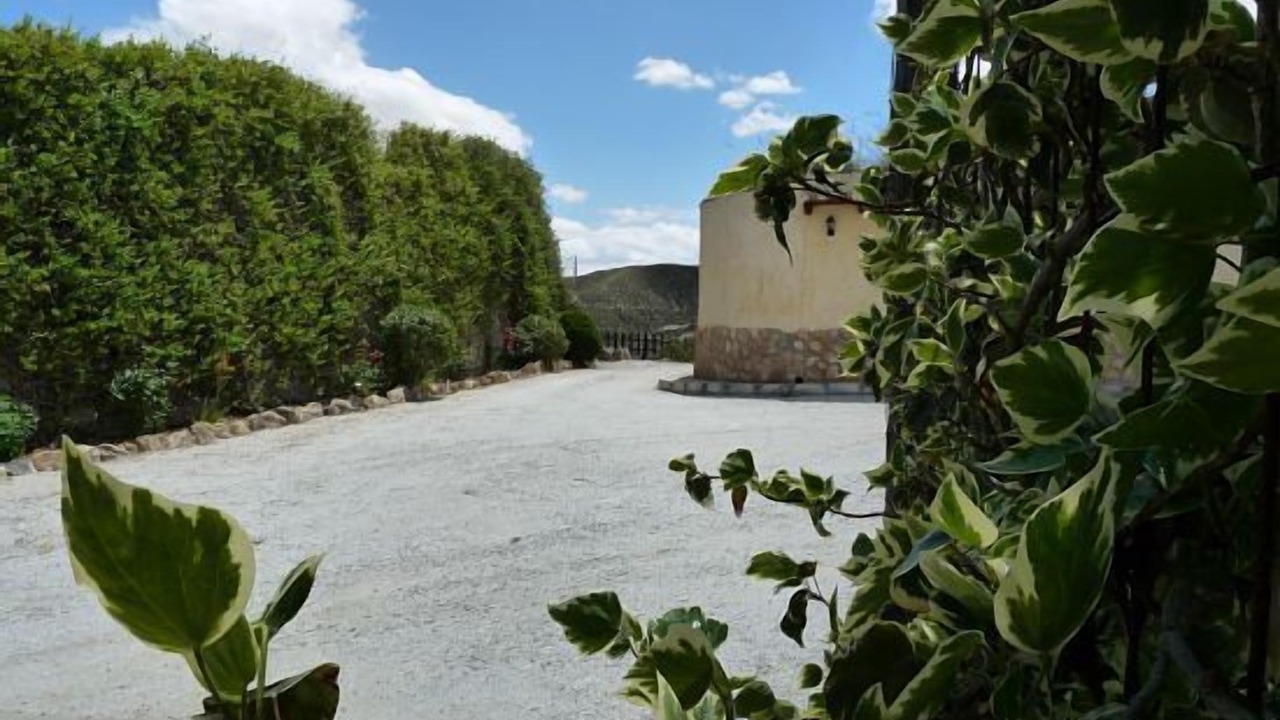 Photo of Outdoor in Cullar