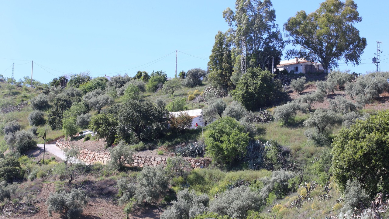 Photo of Others in Colmenar