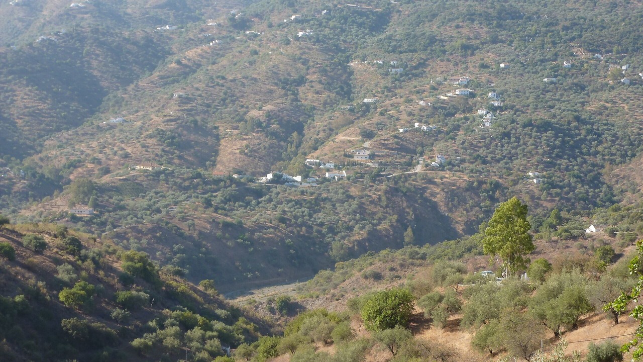 Photo of Others in Colmenar