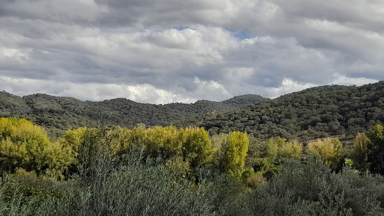 Photo of Others in La Nava