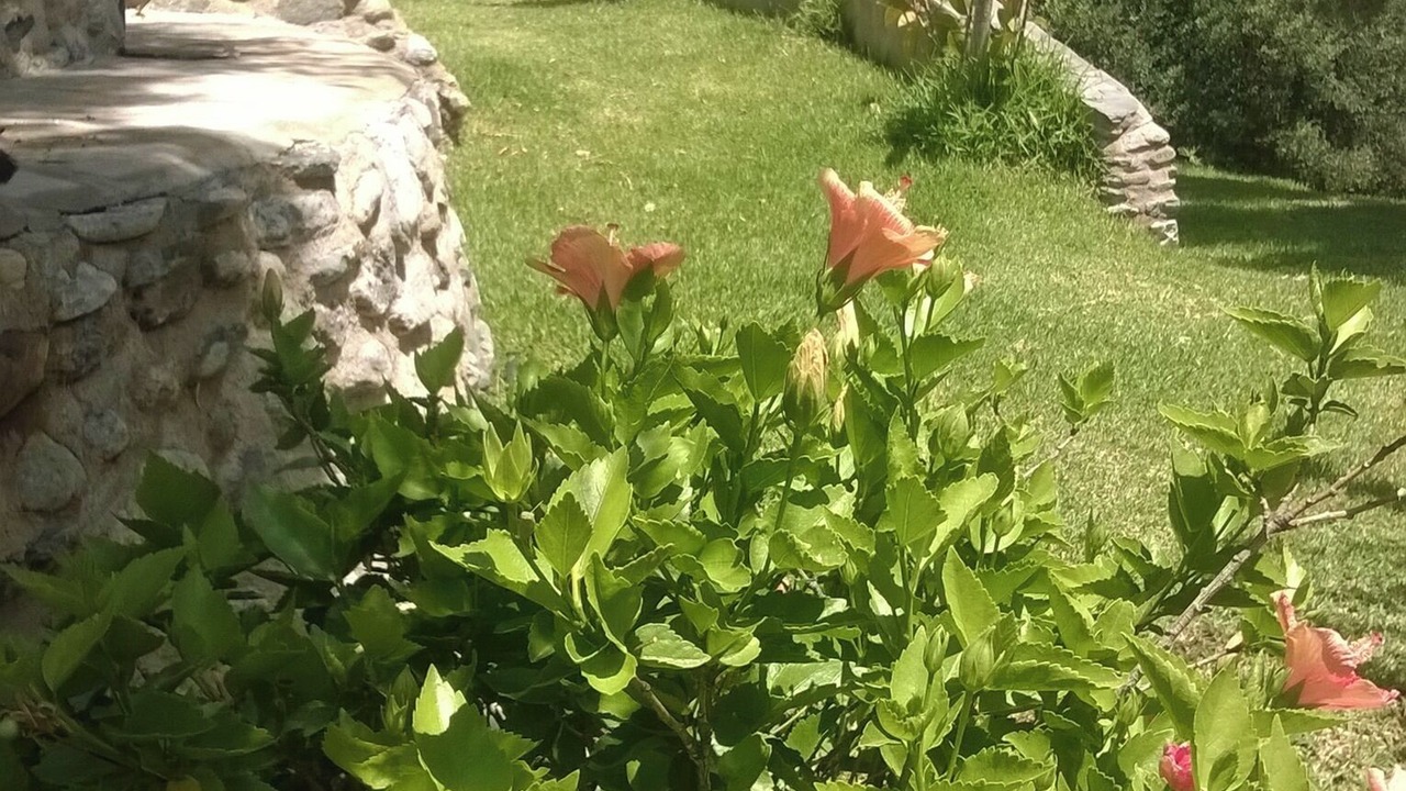 Photo of Outdoor in Orgiva