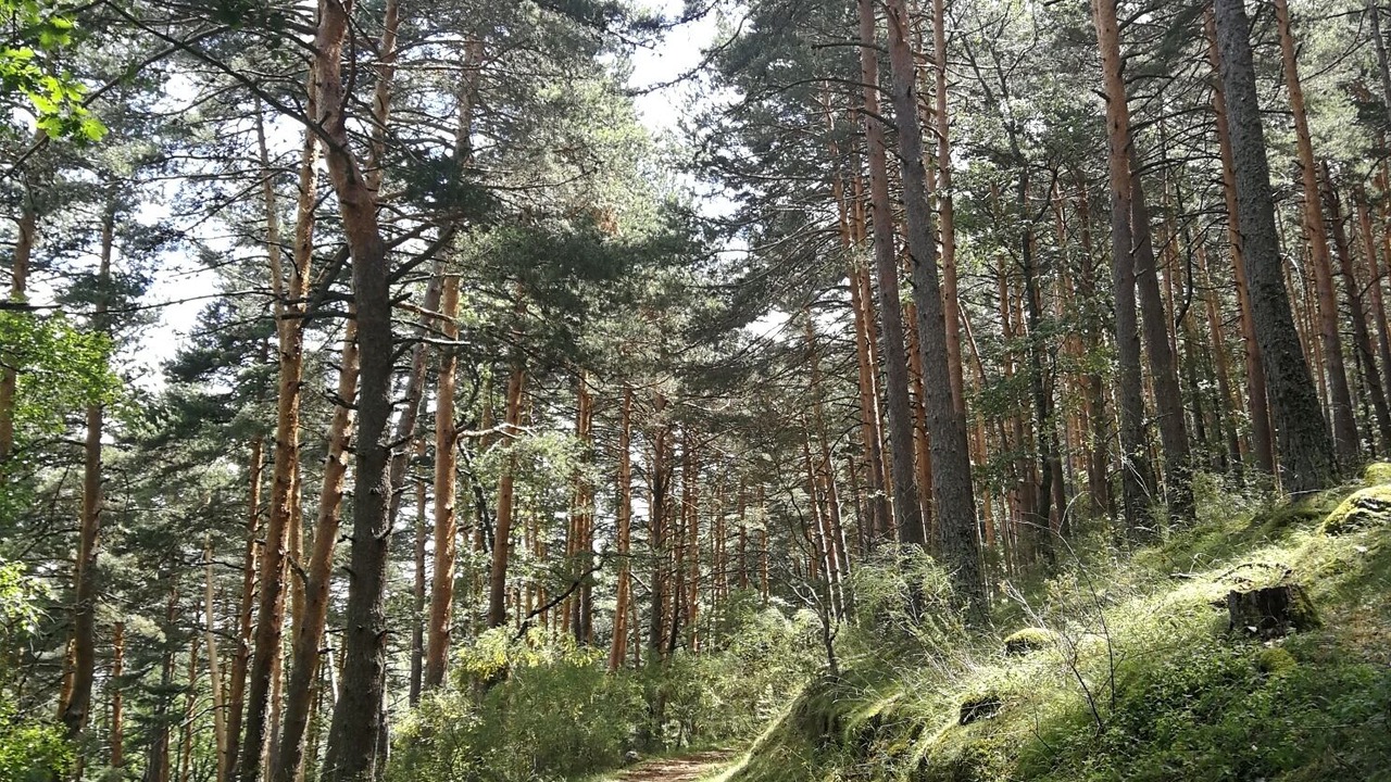 Photo of Outdoor in El Boalo