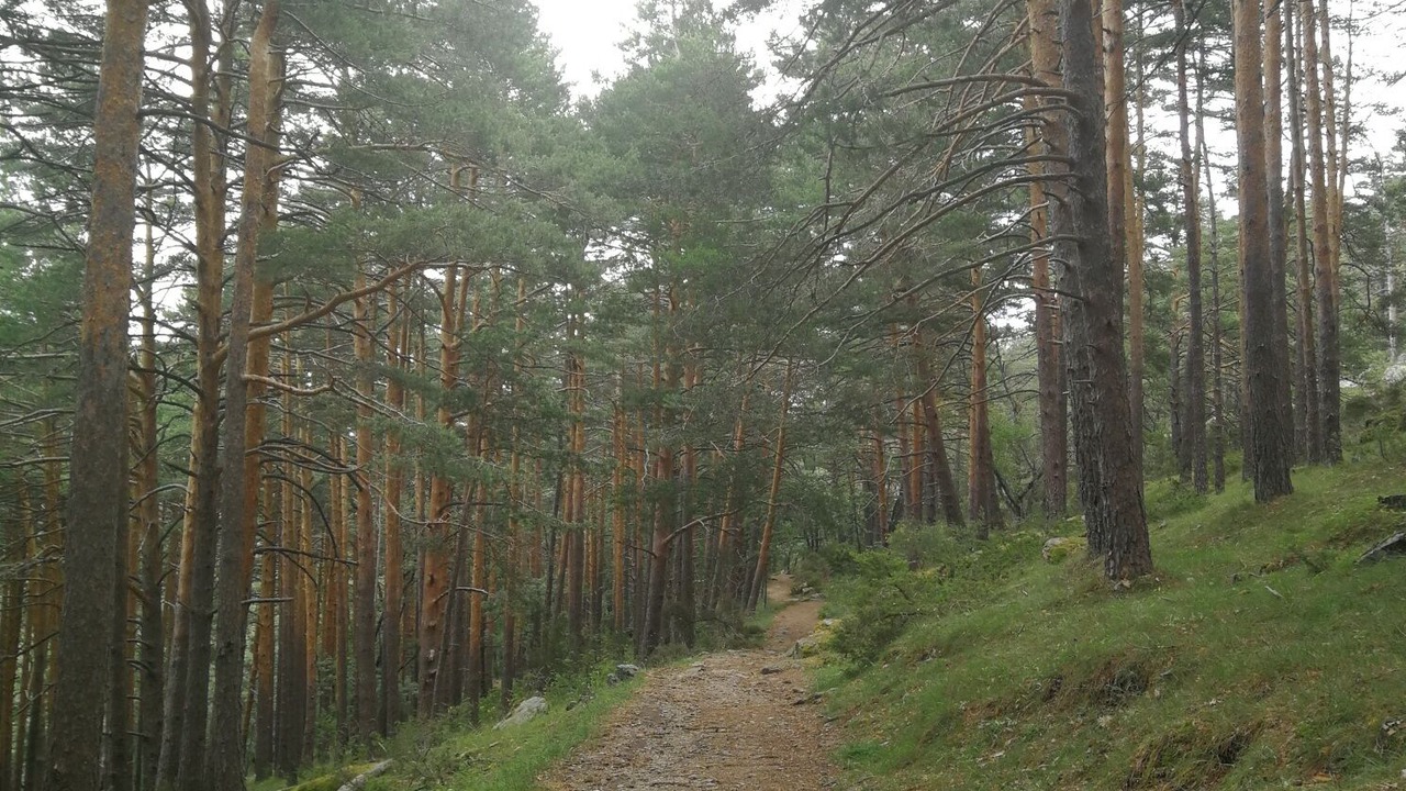 Photo of Outdoor in El Boalo
