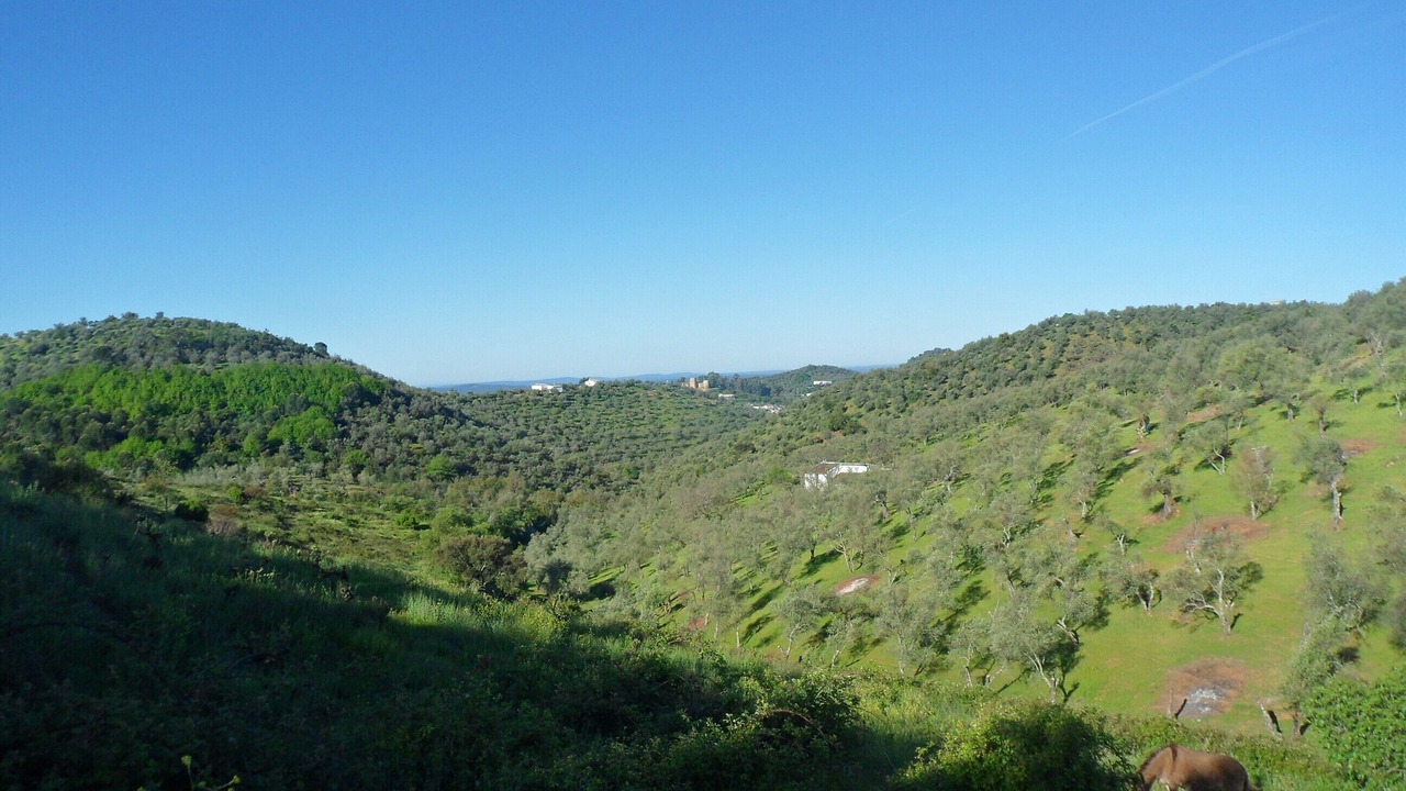 Photo of Outdoor in Constantina