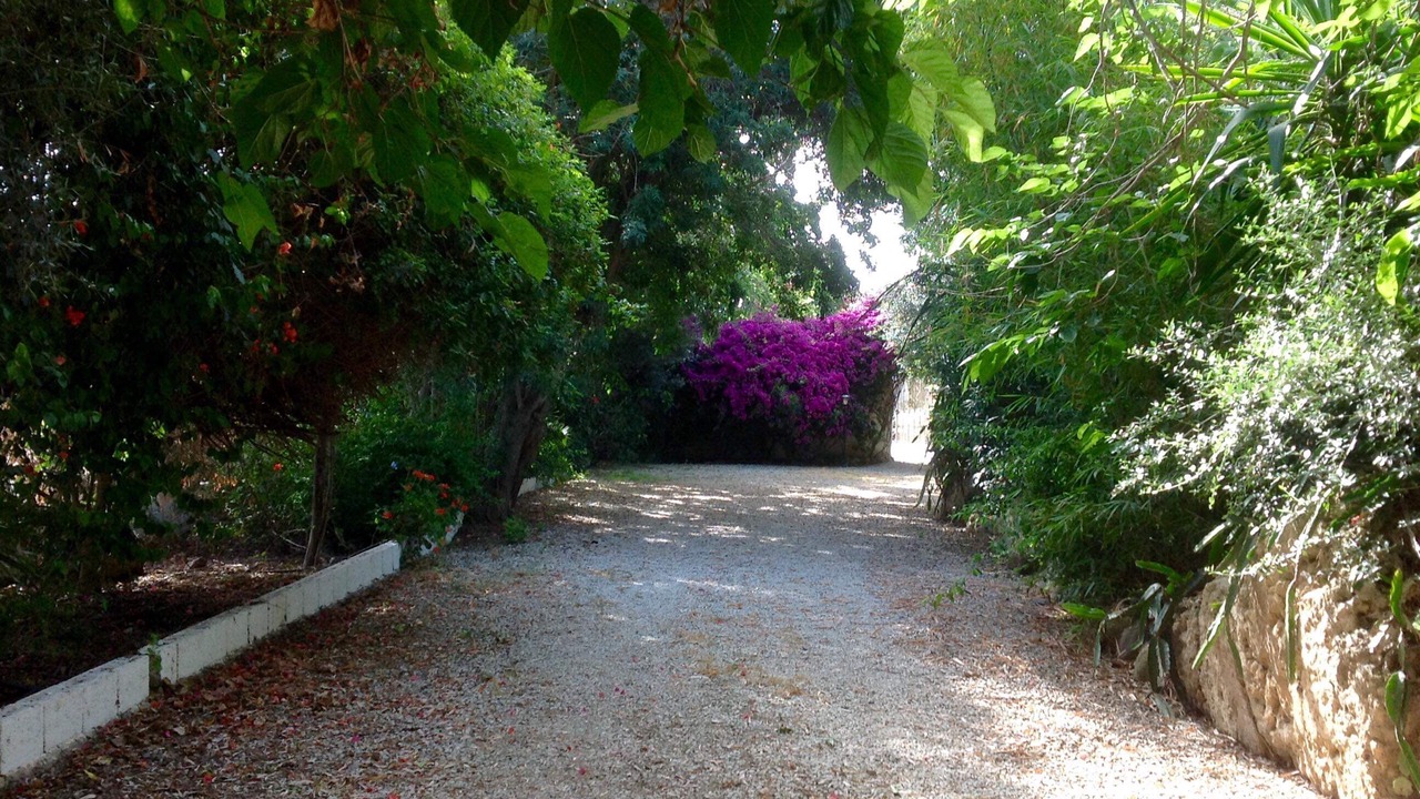 Photo of Outdoor in Velez-Malaga