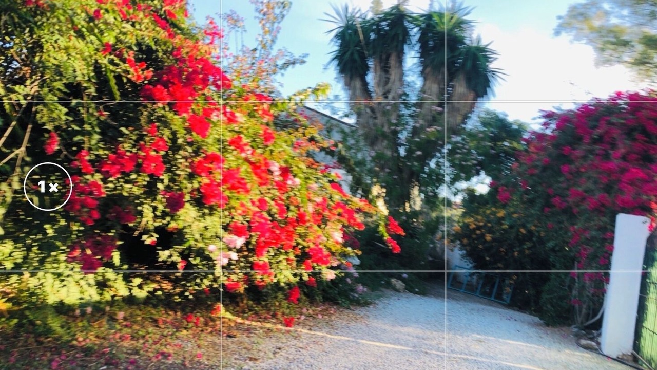 Photo of Outdoor in Velez-Malaga