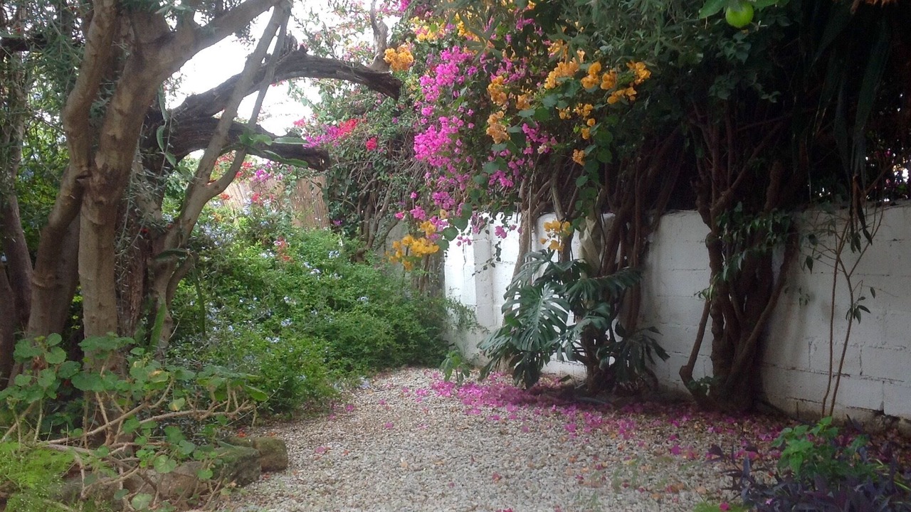 Photo of Outdoor in Velez-Malaga