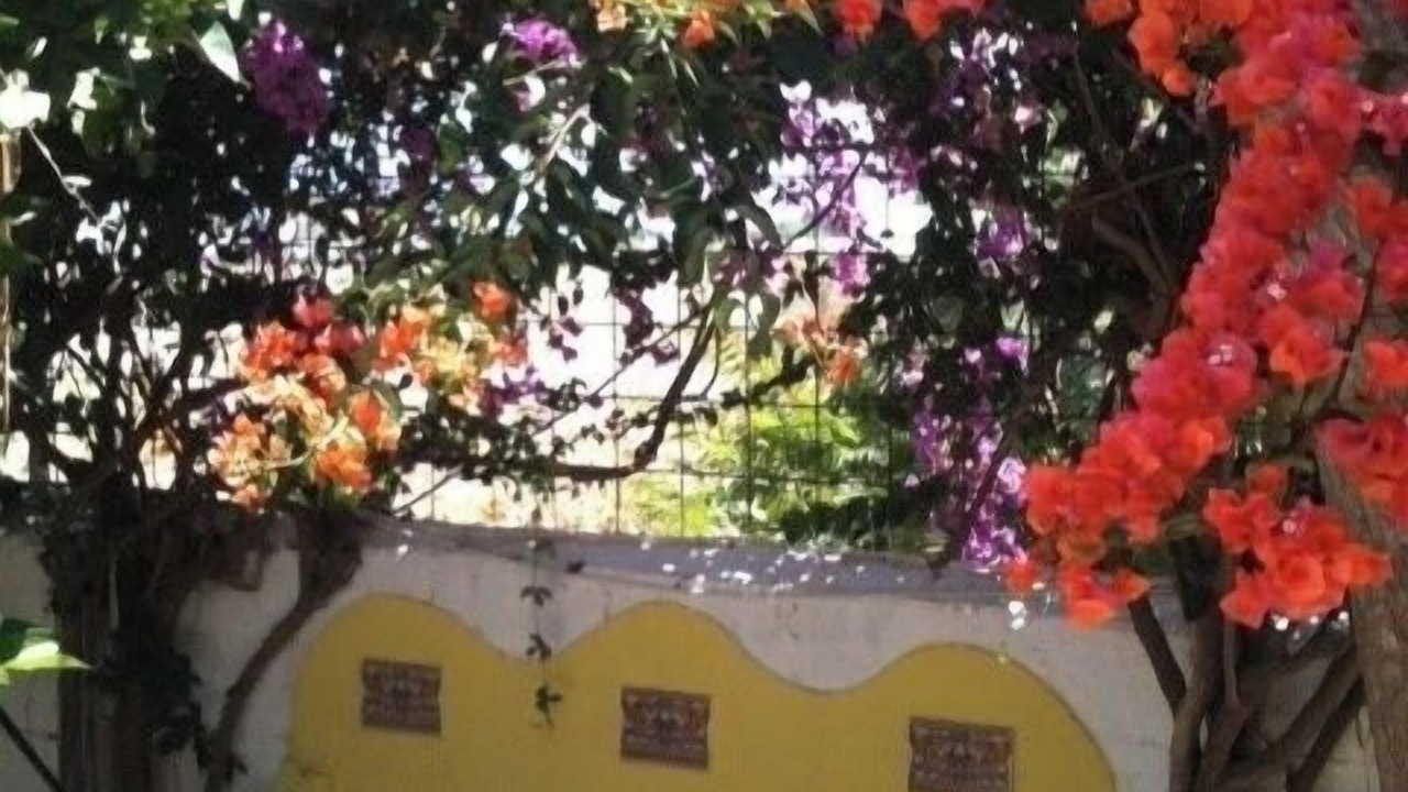 Photo of Outdoor in Velez-Malaga