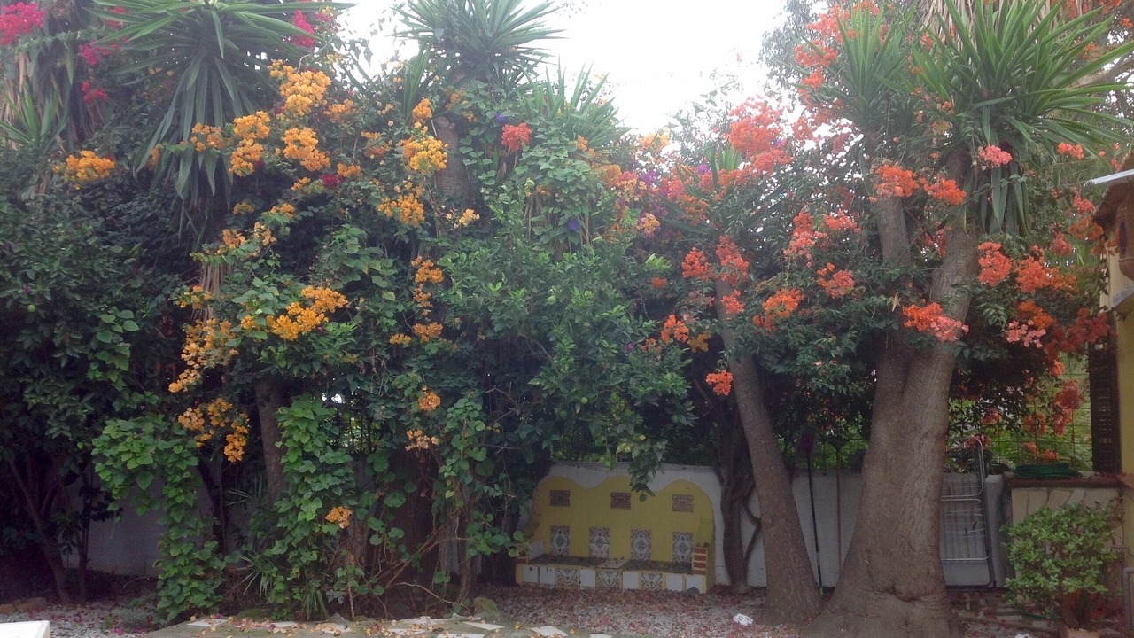Photo of Outdoor in Velez-Malaga