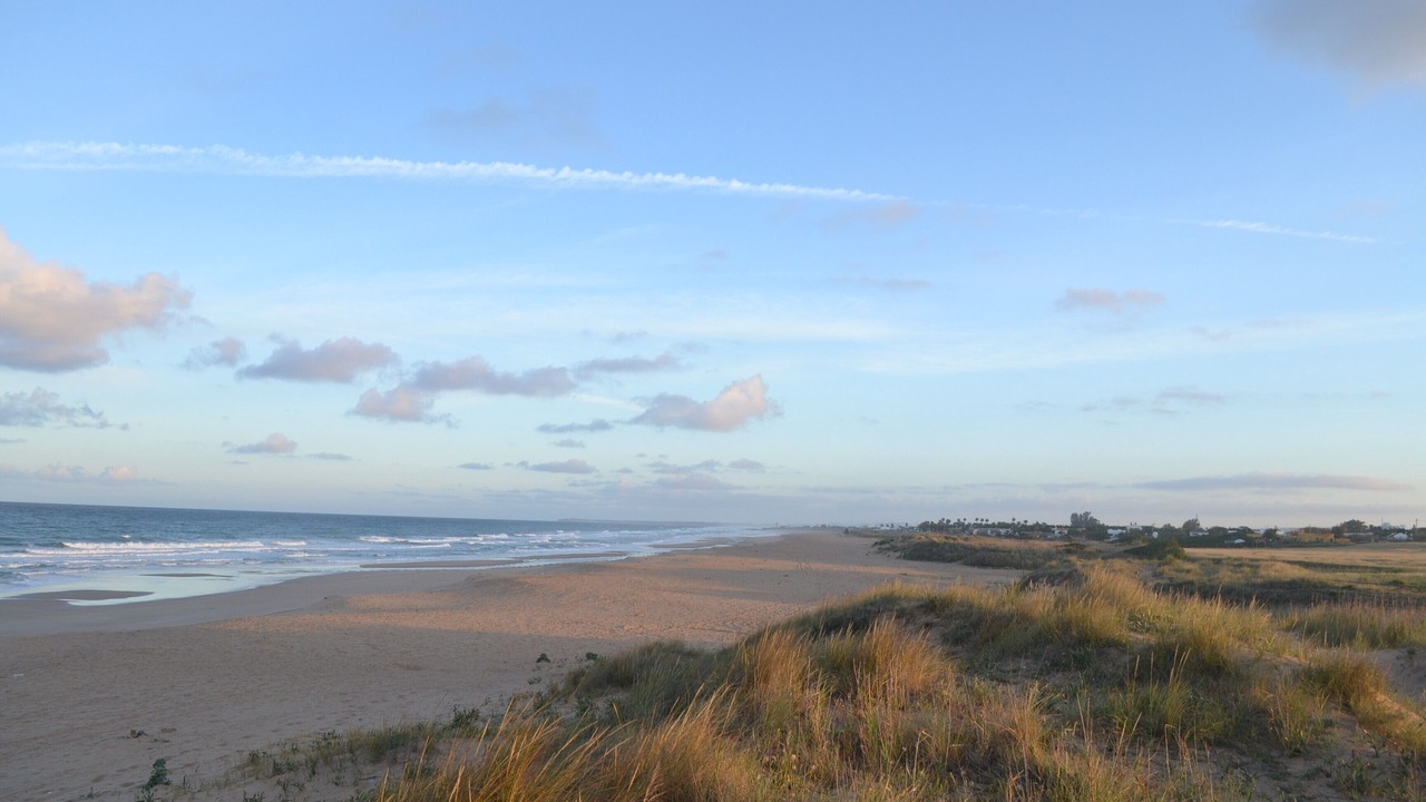 Photo of Others in El Palmar