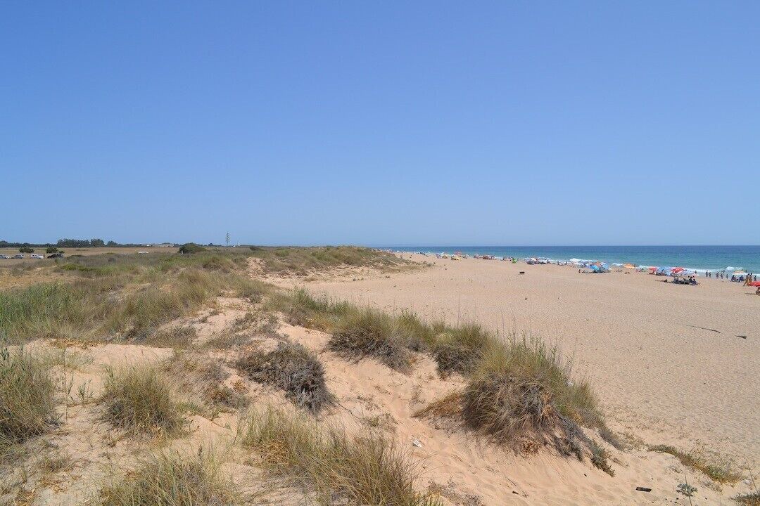 Photo of Others in El Palmar