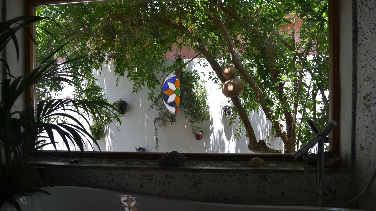 Photo of Bathroom in El Palmar