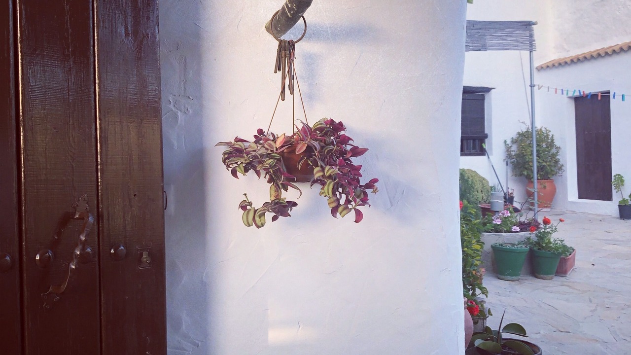 Photo of Outdoor in Villanueva de Algaidas