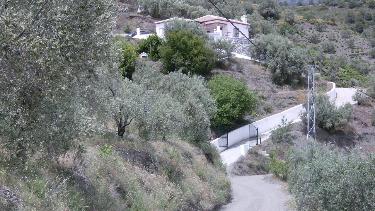 Photo of Others in Canillas de Albaida