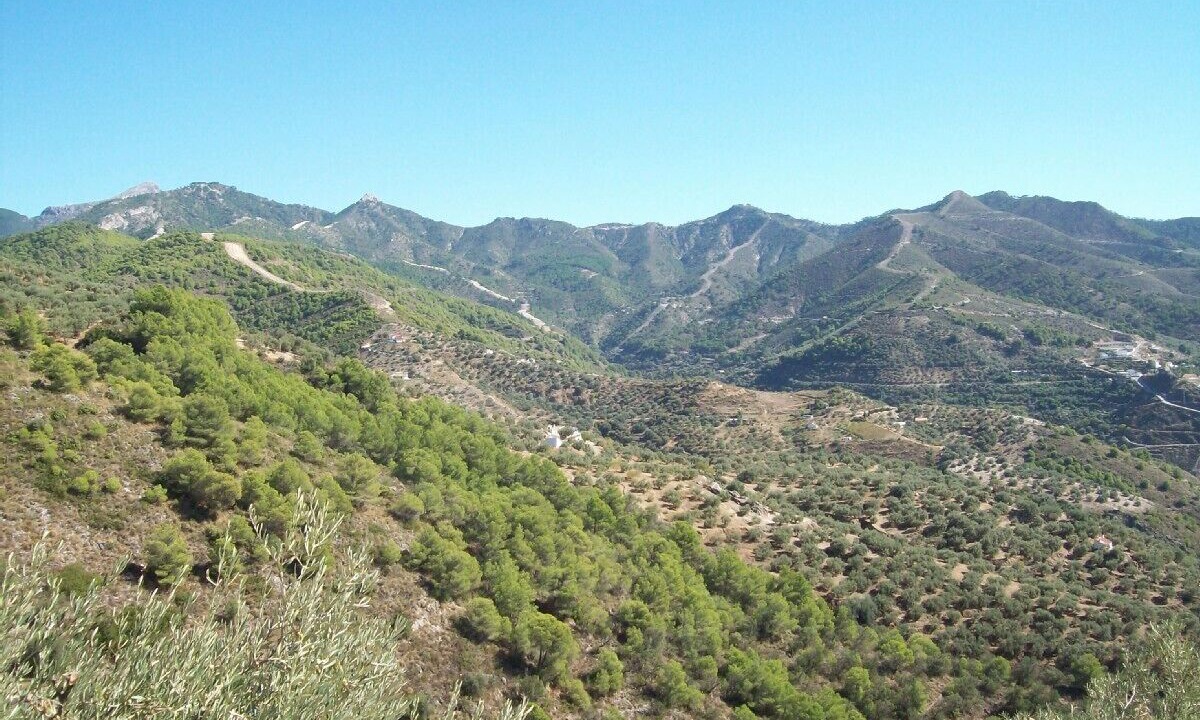 Photo of Others in Canillas de Albaida