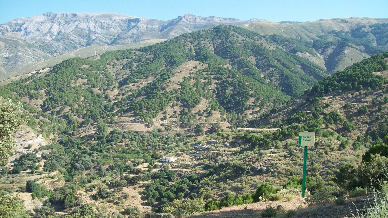 Photo of Others in Canillas de Albaida