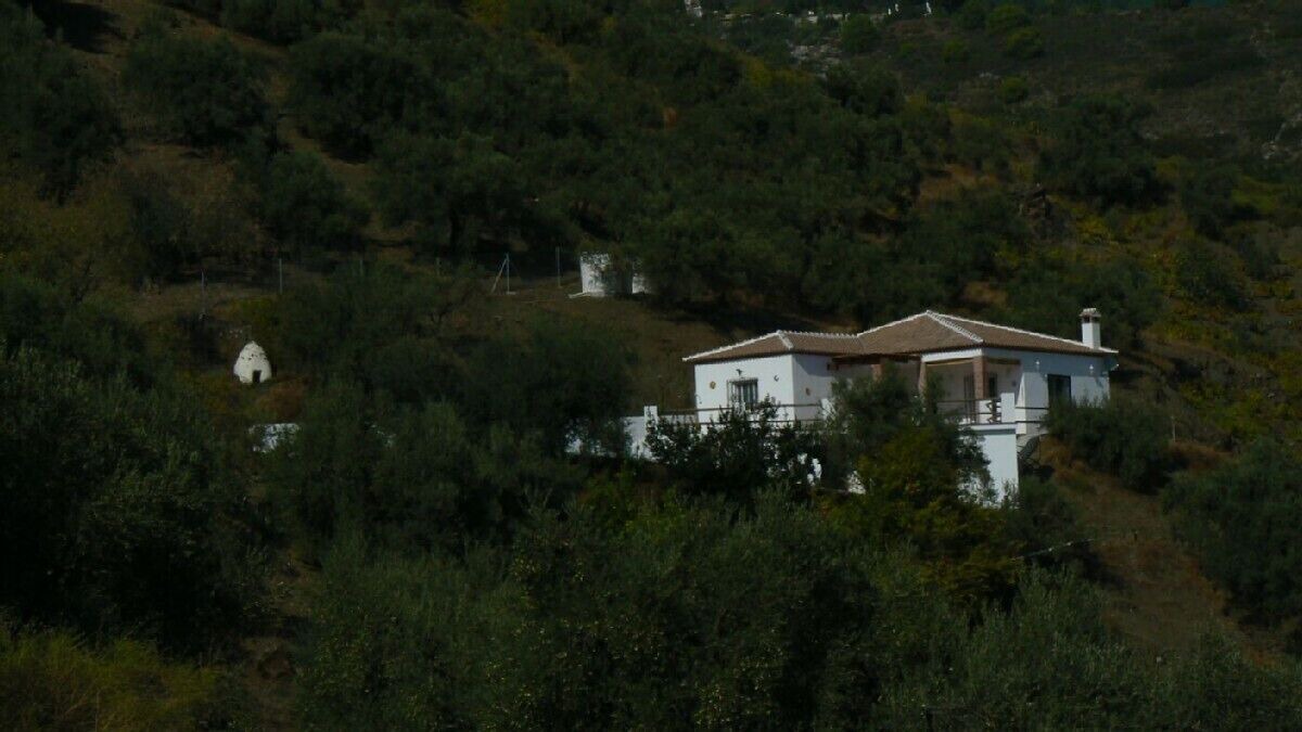 Photo of Others in Canillas de Albaida
