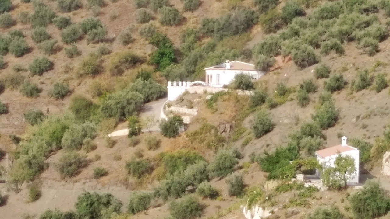 Photo of Others in Canillas de Albaida